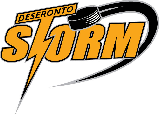 Deseronto Storm 2007-2012 Primary Logo iron on transfers for clothing